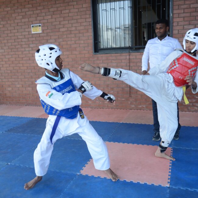 sports7